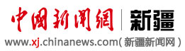 廣州網(wǎng)站建設(shè)